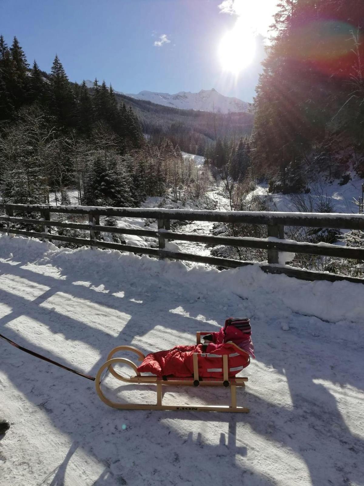Andrea 7 By Smr Rauris Apartments - Inc Spa And Near Gondola エクステリア 写真