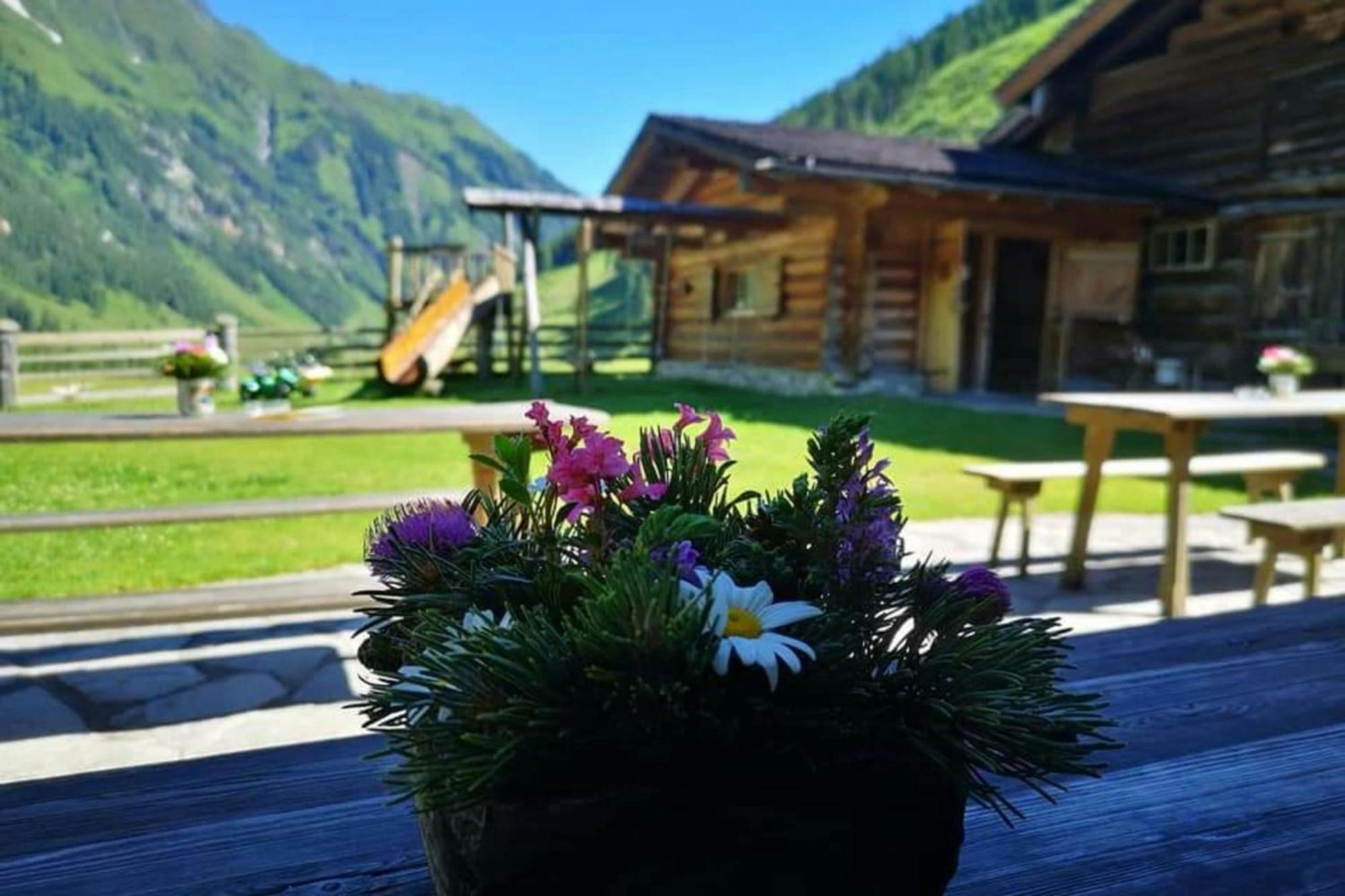 Andrea 7 By Smr Rauris Apartments - Inc Spa And Near Gondola エクステリア 写真